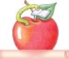 kurtlu elma