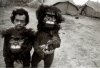 evde orangutan beslemek / #73177