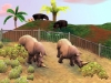 zoo tycoon